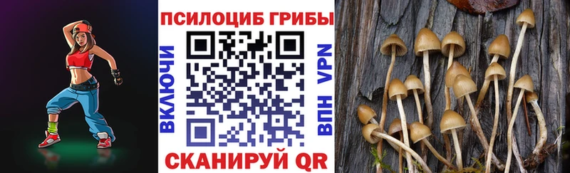 Псилоцибиновые грибы MAGIC MUSHROOMS  Большой Камень 