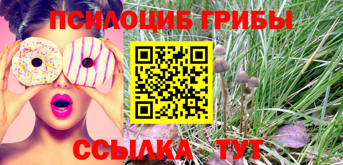 Галлюциногенные грибы мицелий Большой Камень