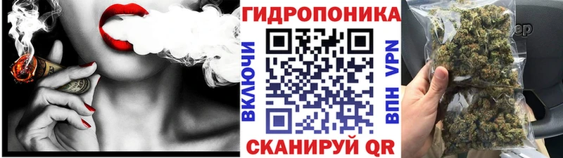 omg   Большой Камень  Марихуана гибрид 