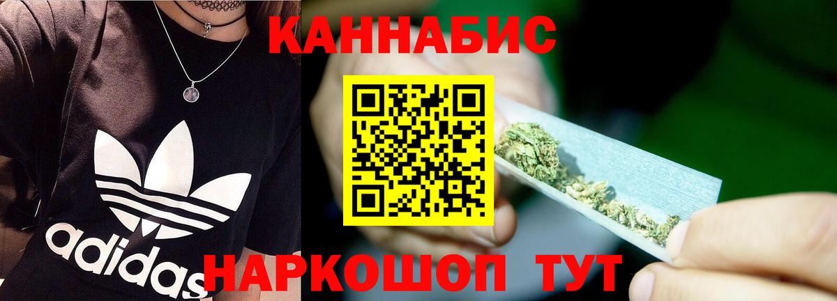 Галлюциногенные грибы Большой Камень